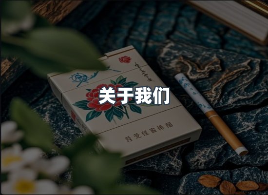 专业团队
